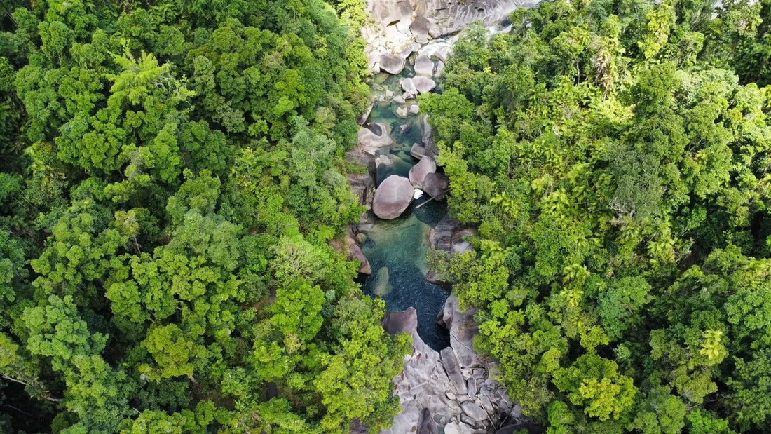 What is Spring Water - Little Hampton Spring Water